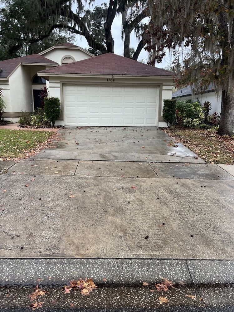 Driveway before cleaning